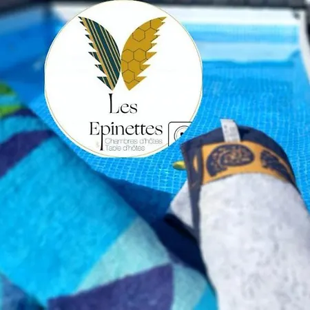 Les Epinettes D'hotes