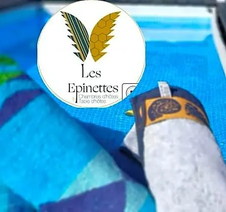 Les Epinettes D'hotes Bed and breakfast